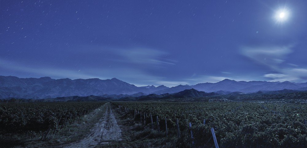 Ruca Malen Valle de Uco image